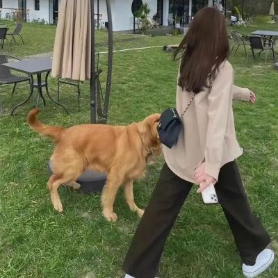 搭档